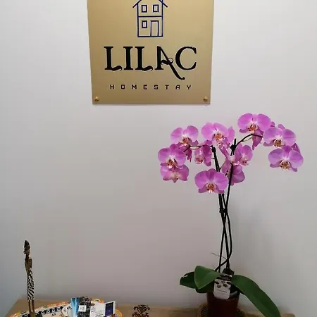 Homestay Lilac Homestay *