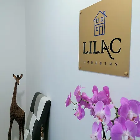 Homestay Lilac Homestay *