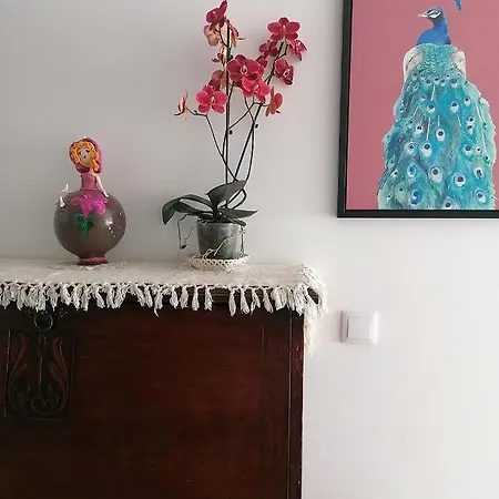 Lilac Homestay * Setubal