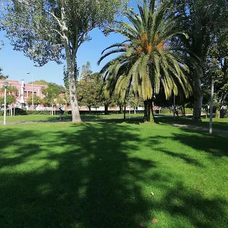 Lilac Homestay Homestay Setubal